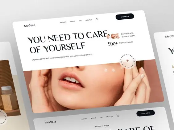 Image of the project